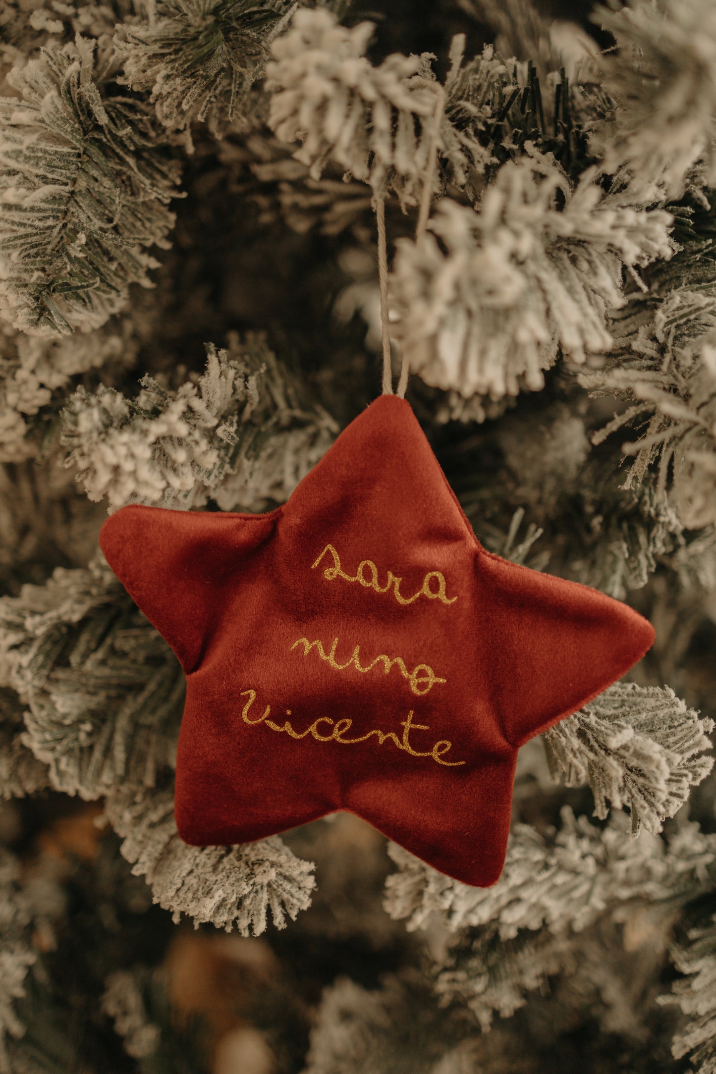 Pendente Estrela Natal Veludo - Família