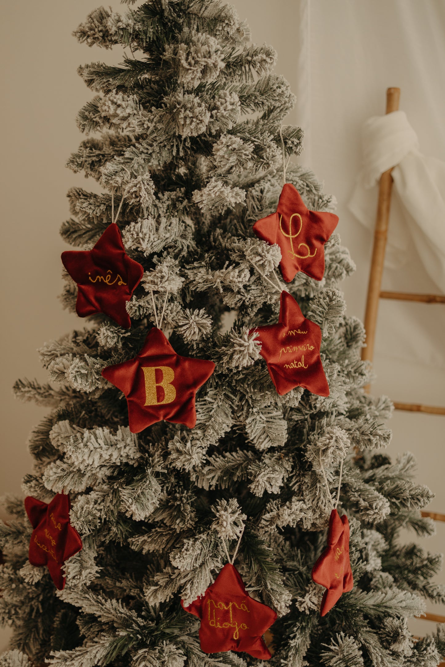 Pendente Estrela Natal Veludo - Família