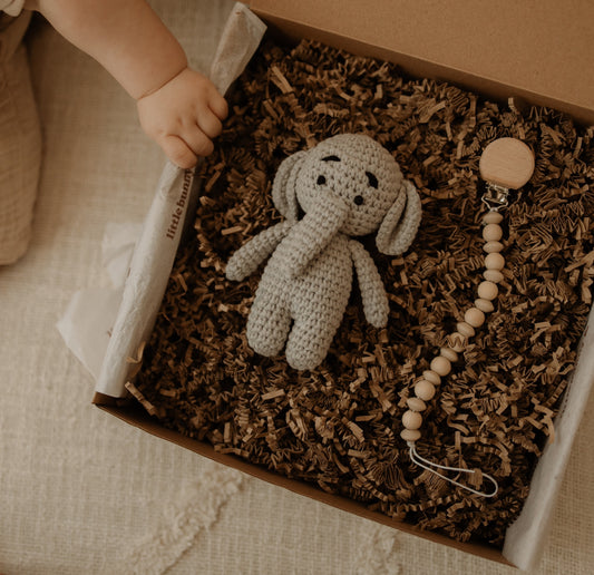 Baby Box Slow | Little Bunny